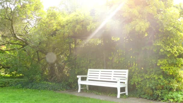 Beau banc blanc est situé dans le parc urbain ensoleillé d'été . — Video