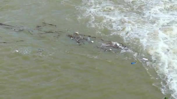 Problème écologique : de nombreuses bouteilles en plastique et déchets pénètrent dans les rivières et les lacs . — Video