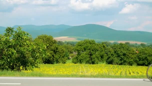 Sonnenblumenfeld Und Kechnec Dorf Der Ostslowakei — Stockvideo