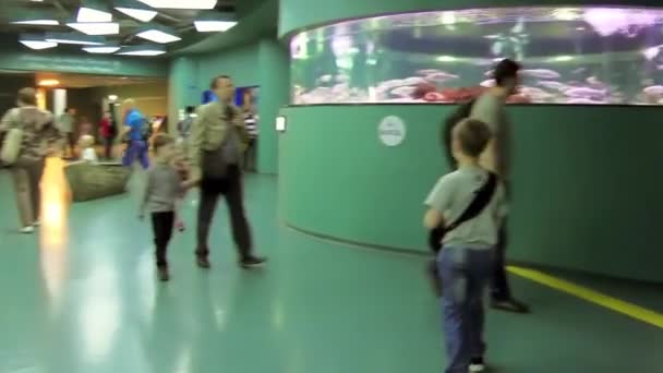 Moskou, Rusland - 8 juni: centrum van oceanografie en mariene biologie Moskvarium. — Stockvideo