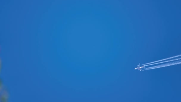 Large Passenger Plane Flies Blue Sky — Stock Video