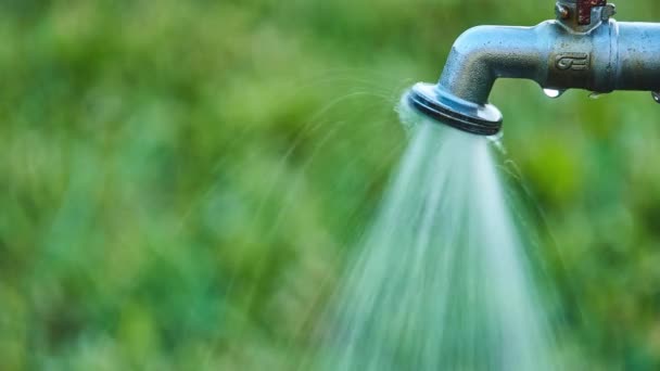 Grúa Con Cabeza Agua Contra Césped Verde Verano — Vídeos de Stock