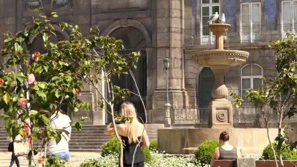 Igreja Trindade Uma Igreja Cidade Porto Portugal Localizada Praca Trindade — Vídeo de Stock