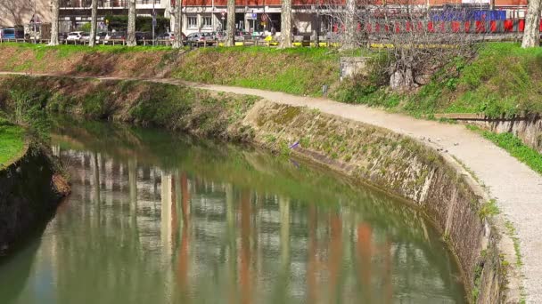 Canal Brienne Canal Saint Pierre Připojuje Garonne Řeka Canal Midi — Stock video