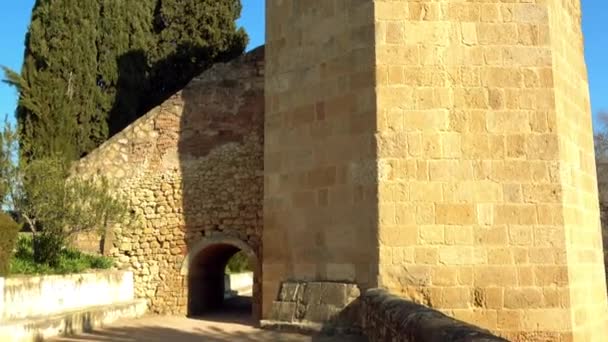 Alcazar Los Reyes Cristianos Hıristiyan Hükümdarlar Kalesi Cordoba Endülüs Spanya — Stok video