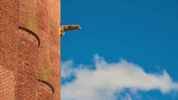 Székesegyház Bazilika Szent Cecilia Albi Katedrális Legfontosabb Katolikus Épület Albi — Stock videók