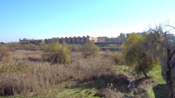 Alcazar Los Reyes Cristianos Castle Christian Monarchs Cordoba Andalusia Spain — Stock Video