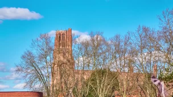 Katedralen Basilikan Saint Cecilia Albi Cathedral Den Viktigaste Katolska Byggnaden — Stockvideo