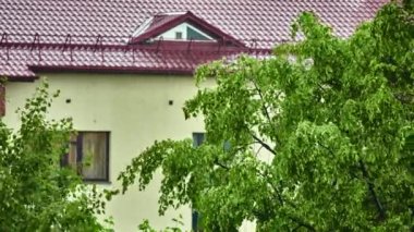 Üst Birch bahar Şehir Parkı yağmurda streams altında.