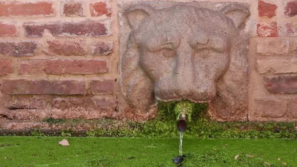 Pequeña Fuente Con Estilización Bajo Cabeza León Pequeño Parque Verano — Vídeo de stock