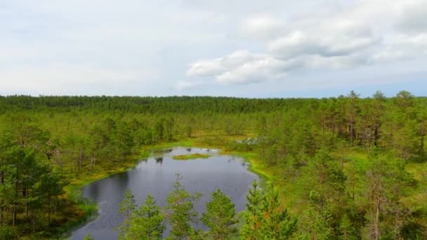 Panorama Bažiny Pole Viru Raba Lahemaa Estonsko — Stock video