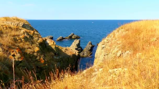 Голубое Море Фоне Скалистого Заросшего Берега — стоковое видео