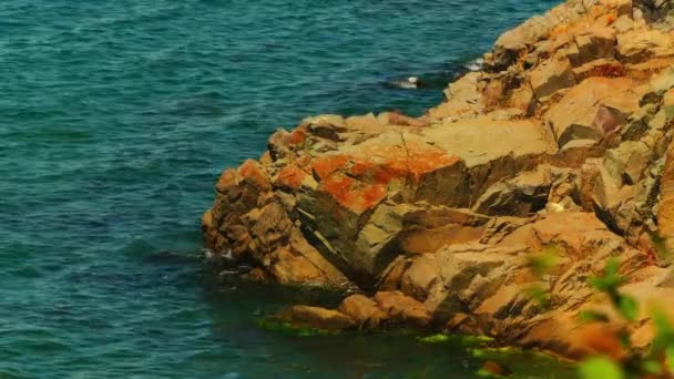 Blå Havet Mot Bakgrund Rocky Igenvuxna Shore — Stockvideo
