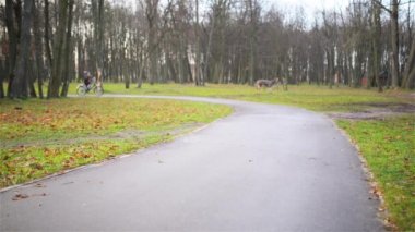 Küçük güzel kız sonbahar şehir parkı ile bisiklet ile gidiyor.