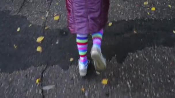 Feet of little girl jumping on asphalt in autumn park. — Stock Video