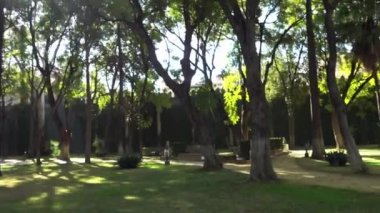 Alcazar bahçeleri. Kraliyet sarayıdır orijinal Endülüs Müslüman kralları tarafından Gelişmiş Seville, Endülüs, İspanya, Alcazar Seville.
