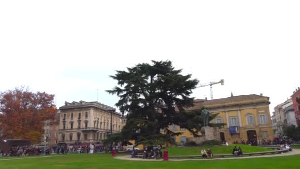 Piazzale Della Pace Public Green Area Center Parma Italy Located — Stock Video