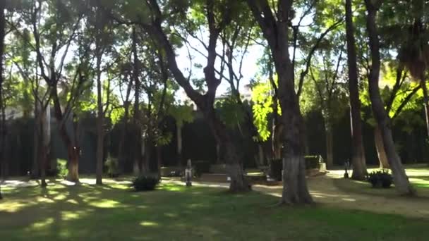 Giardini Alcazar Alcazar Siviglia Palazzo Reale Siviglia Andalusia Spagna Originariamente — Video Stock