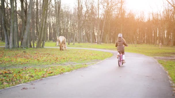 Tonåring flicka rider cykel genom hösten stadsparken. — Stockvideo