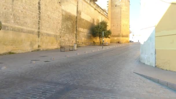 Alcázar de los Reyes Cristianos en Córdoba, Andalucía, España. Fortaleza sirvió como una de las principales residencias de Isabel I de Castilla y Fernando II de Aragón . — Vídeo de stock