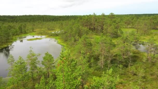 Panorama du champ marécageux de Viru Raba à Lahemaa, Estonie .