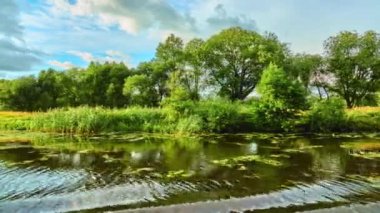 Yaz manzara ormanlık bankalarla küçük Nehri'nin.