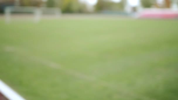 Menina Bonita Chapéu Rosa Casaco Vermelho Contra Fundo Campo Futebol — Vídeo de Stock