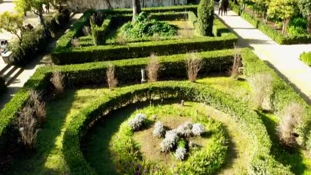 Στους κήπους του Αλκαζάρ. Alcazar της Σεβίλης είναι βασιλικό παλάτι στη Σεβίλλη, Ανδαλουσία, Ισπανία, αναπτύχθηκε αρχικά από τους Μαυριτανούς βασιλείς μουσουλμανική. — Αρχείο Βίντεο