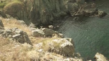 Mavi deniz kayalık büyümüş sahilinin bir arka plana dayanır.