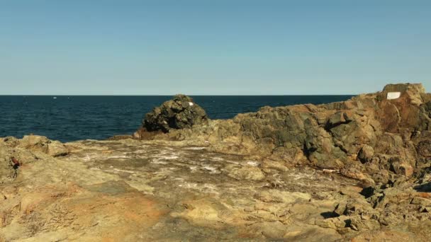 Blauwe zee tegen de achtergrond van overwoekerd rotsenstranden. — Stockvideo