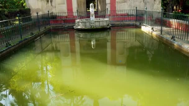 Jardines Del Alcázar Alcázar Sevilla Palacio Real Sevilla Andalucía España — Vídeo de stock