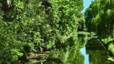 Küçük Avrupa kenti parkında yaz gününde overgrown ayakta gölet.