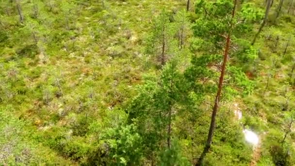 Panorama Del Campo Del Pantano Viru Raba Lahemaa Estonia — Vídeos de Stock