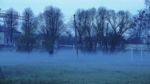 Petite Gare Crépuscule Brumeux — Video