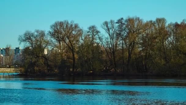 Matorrales Costeros Árboles Río Una Gran Ciudad — Vídeos de Stock