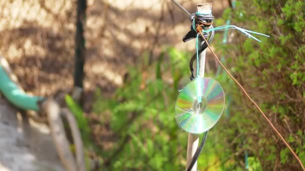 Disque Optique Ordinateur Accroché Une Corde Dans Jardin Pour Effrayer — Video