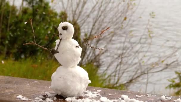 小さな雪だるまが市池の近くの木のベンチの上に立つ — ストック動画