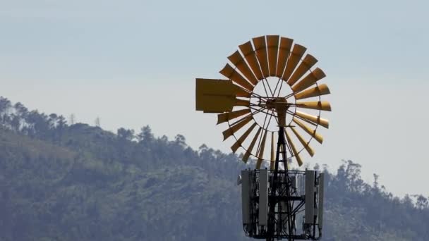 Windmill Raises Livestock Water Wind — Stock Video