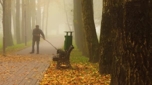 管理人は美しい秋の霧の都市公園で落ち葉を掃引 — ストック動画