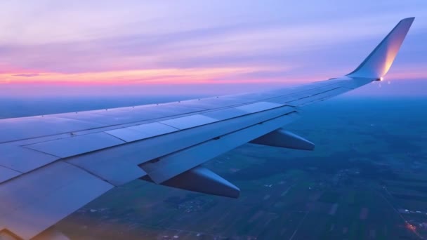 Ala Avião Voador Contra Fundo Horizonte Céu Vista Pórtico — Vídeo de Stock