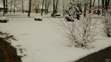 karlı bir şehir parkı ile yürüyüş bir kış ceket küçük güzel kız