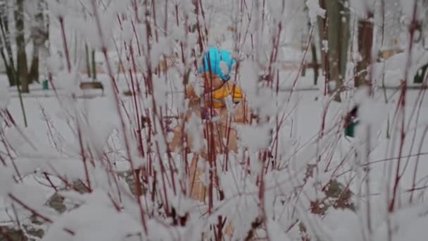 穿着冬衣的漂亮小女孩穿过一个雪域城市公园 — 图库视频影像
