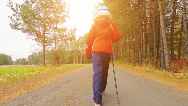 Klein Mooi Meisje Loopt Slowaaks Paradijs Slowakije — Stockvideo