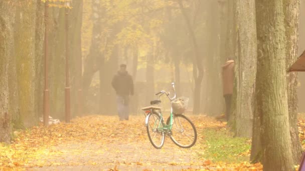 Уборщик Подметает Опавшие Листья Красивом Осеннем Туманном Городском Парке — стоковое видео