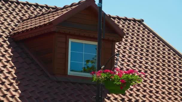Beautiful hanging vase with flowers sways in the wind near the attic floor of a wooden house — Stock Footage Beautiful Hanging Vase Flowers Sways Wind Attic Floor Wooden House Royalty Free Stock Footage