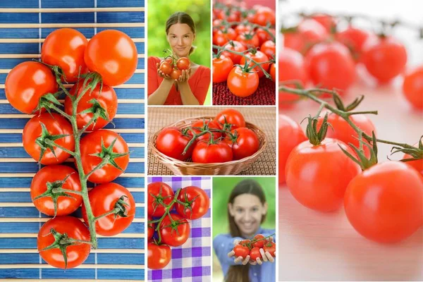 Collage Fotografico Bei Pomodori Maturi Rossi Bella Giovane Donna Che — Foto Stock