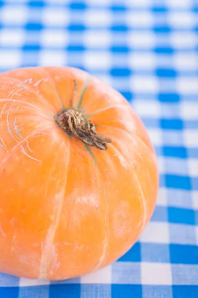 Calabaza Amarilla Grande Descansa Sobre Mantel Azul Cuadros —  Fotos de Stock