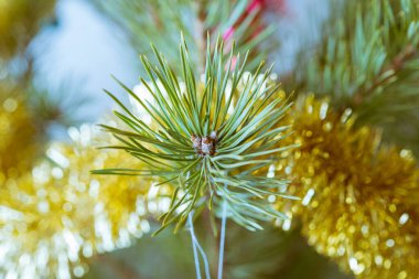 Noel ağacı, çelenkler ve oyuncaklarla süslenmiş.