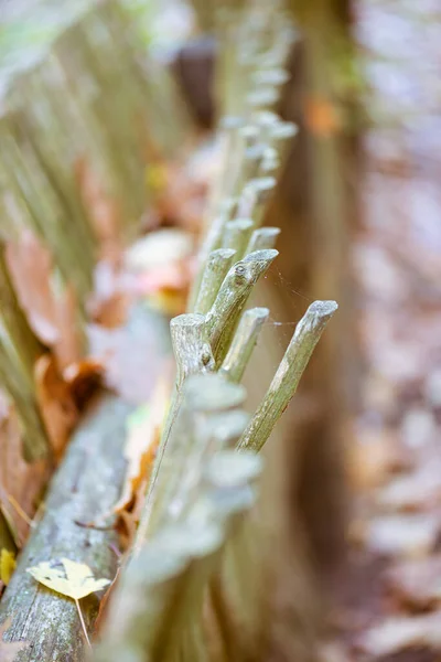 Petite Clôture Palissade Bois Dans Vieux Village — Photo