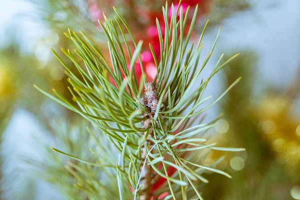 Árbol Navidad Que Está Decorado Con Guirnaldas Juguetes —  Fotos de Stock